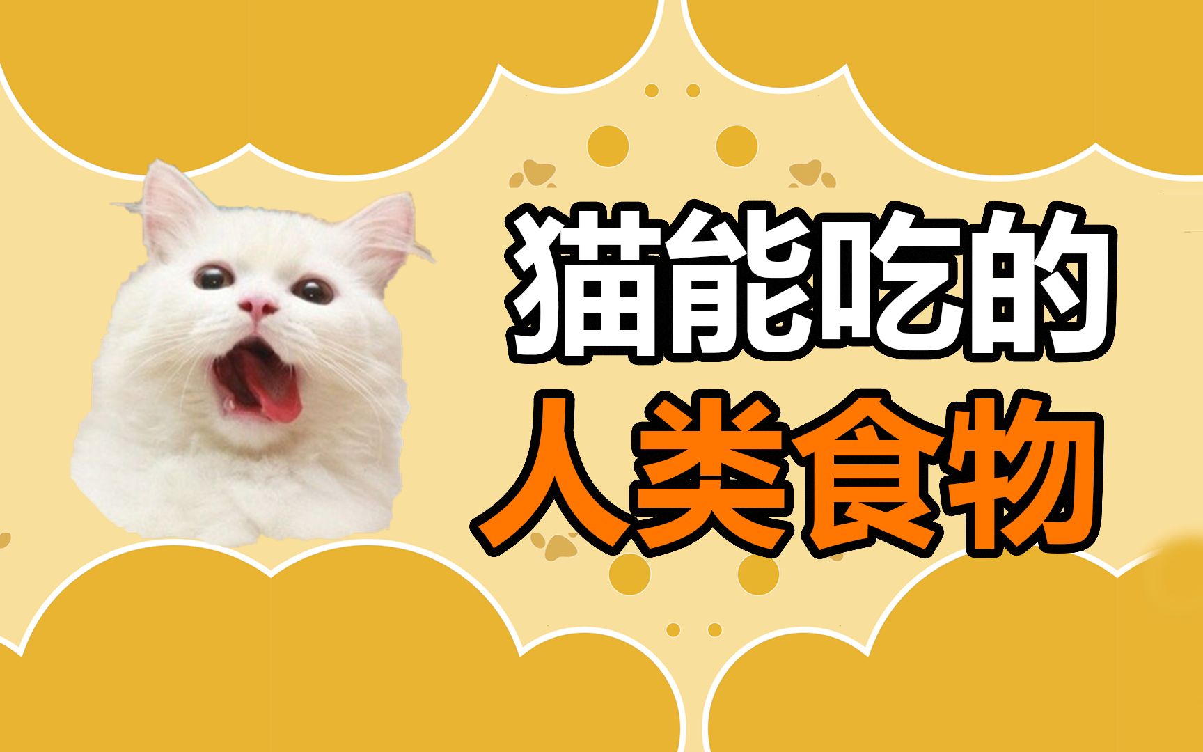 [图]宠物冷知识：猫咪能吃哪些人类食物？