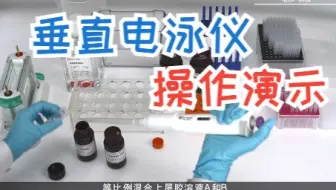 赛维尔SVE-2垂直电泳仪操作演示