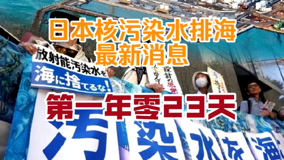 记录核污排海第一年零23天,日本水产禁令,或许要解除了.哔哩哔哩bilibili