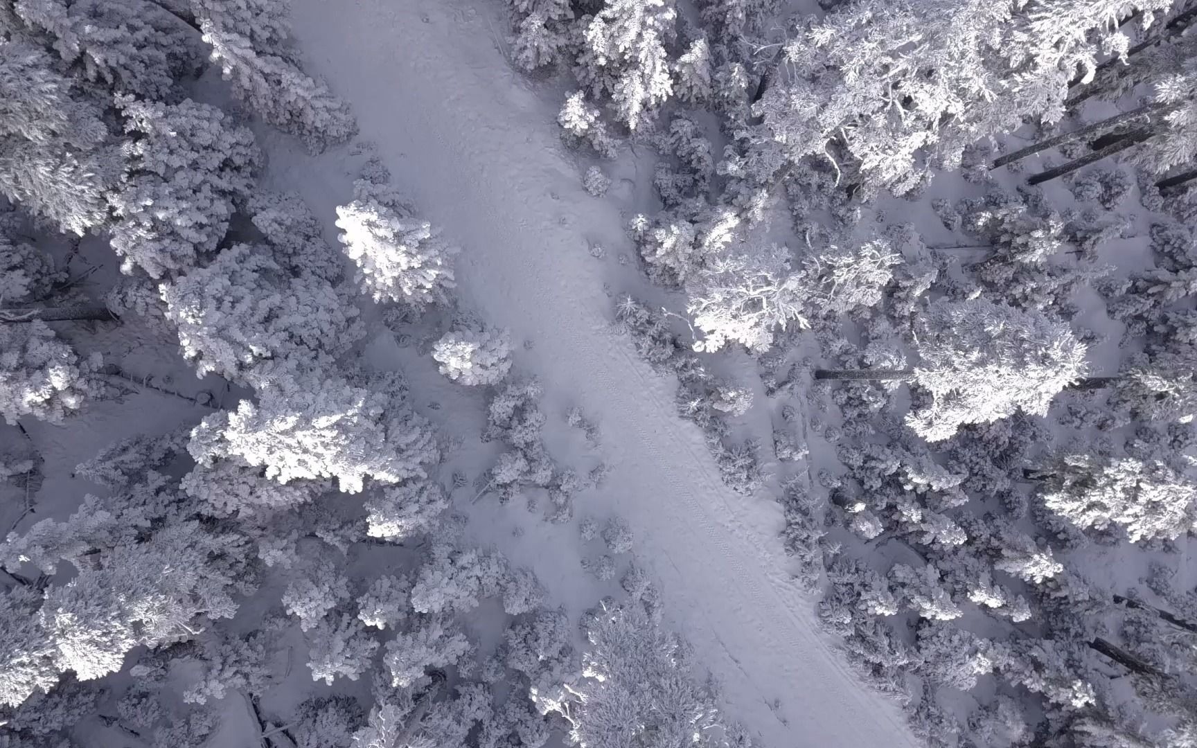 【空镜素材】冰雪天地哔哩哔哩bilibili