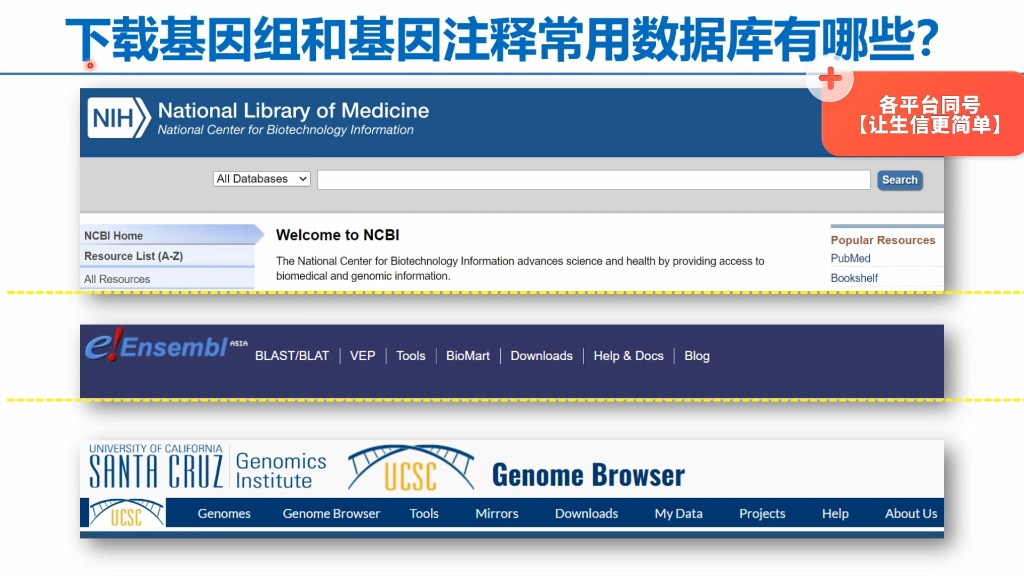 哪些数据库下载基因组序列及基因注释比较方便呢?哔哩哔哩bilibili