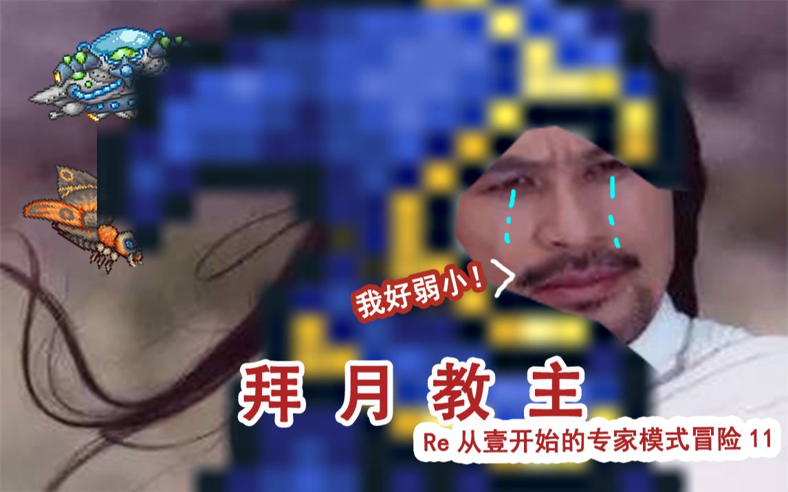 泰拉瑞亚拜月教主你好弱小re从壹开始的专家模式冒险11