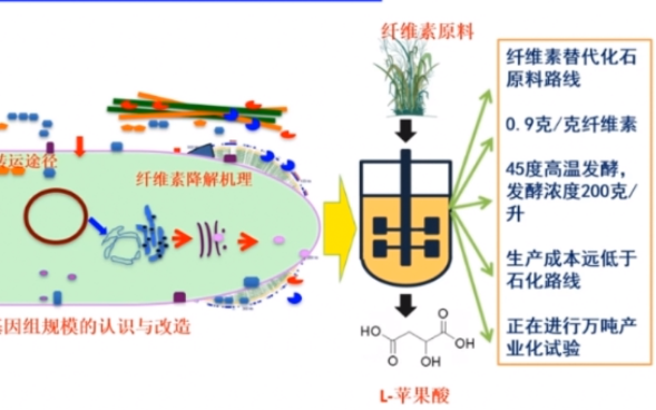 20201212中科院天津工业生物技术研究所孙际宾合成生物技术推动经济可持续发展《合成生物学》前沿论坛哔哩哔哩bilibili