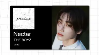 Скачать видео: 【8D环绕】Nectar - THE BOYZ 请佩戴耳机使用~