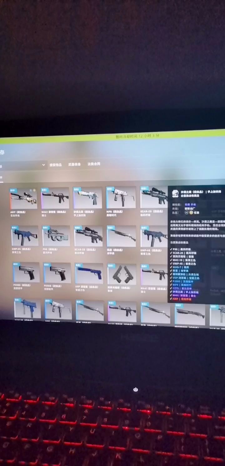 csgo古堡箱子图片