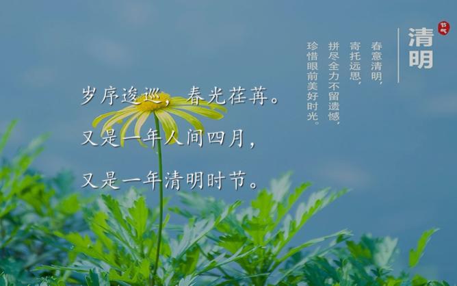 高质量清明节文案,句句倾心!哔哩哔哩bilibili