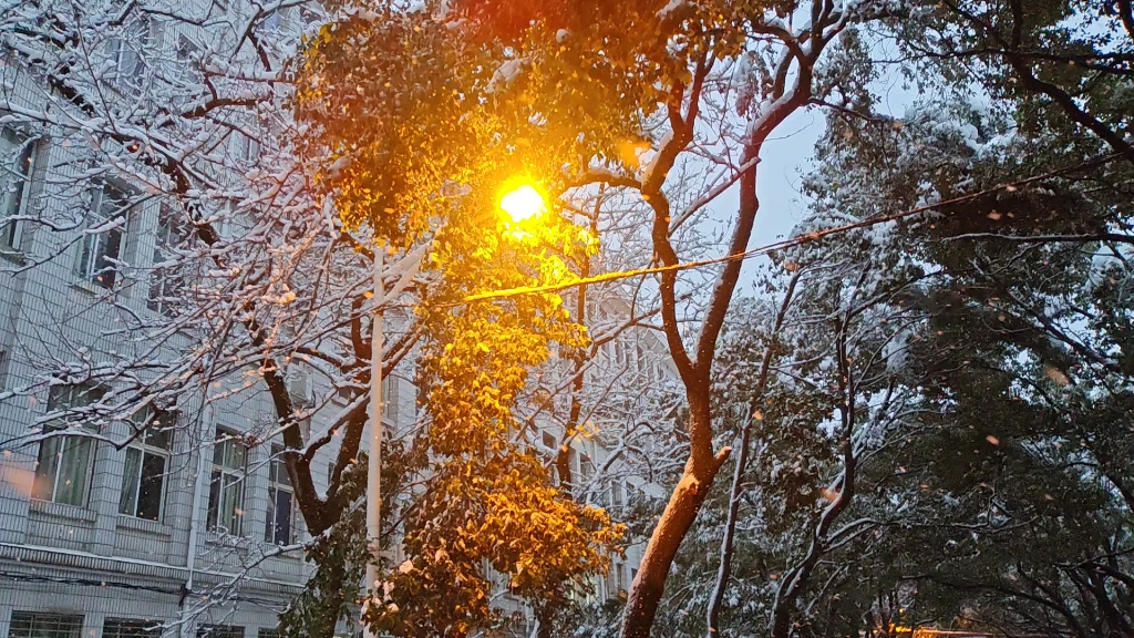 路灯下的雪景图片高清图片