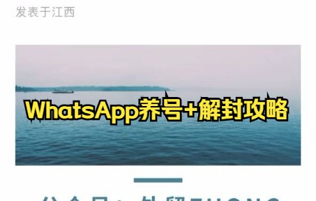 WhatsApp如何养号+WhatsApp解封攻略哔哩哔哩bilibili