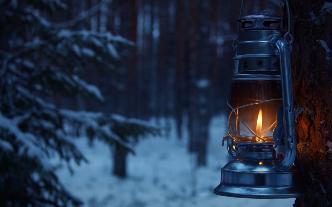 [图]【白噪音｜环境音】「听雪落的声音」在冬季的森林里听风雪声 冬季氛围｜风声｜大雪声｜作业用｜集中用｜睡眠用｜读书用