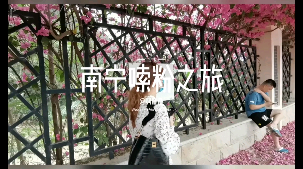 南宁旅游哔哩哔哩bilibili