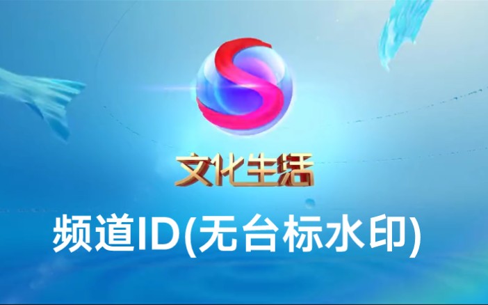 汕尾电视台文化生活频道lD(无台标和水印版)哔哩哔哩bilibili