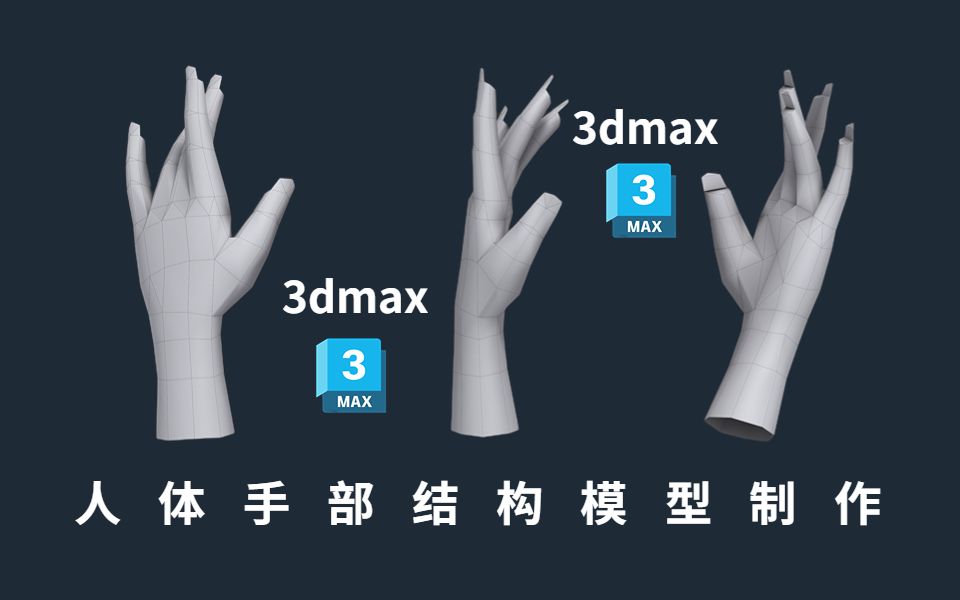 【3dmax建模】人体手部肌肉结构布线详解,每天30分钟,带你轻松掌握人体肌肉结构!哔哩哔哩bilibili