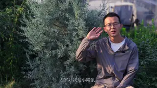 灰色花园 搜索结果 哔哩哔哩弹幕视频网 つロ乾杯 Bilibili