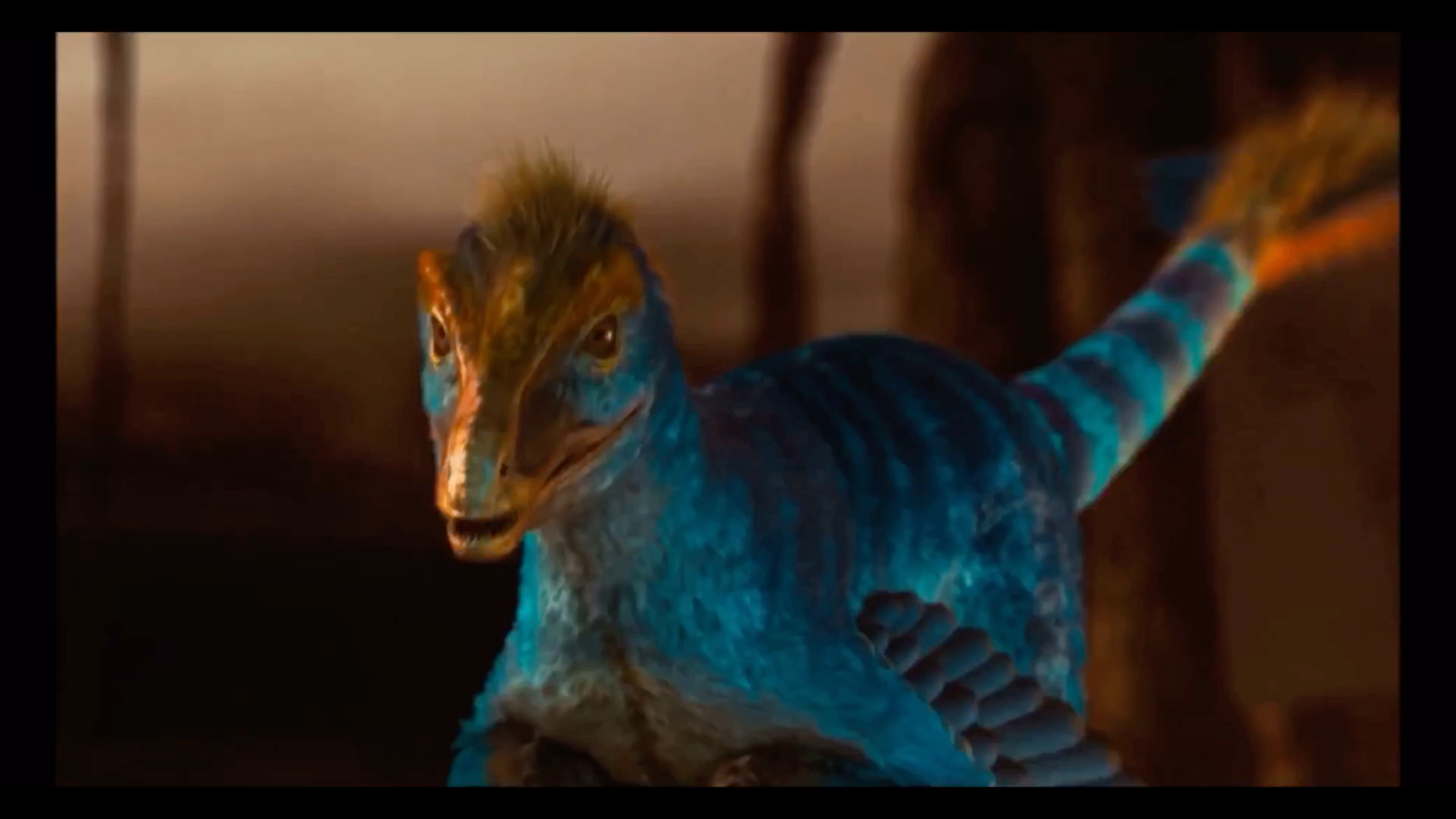 搬运dinosaurisland恐龙岛片段中国鸟龙