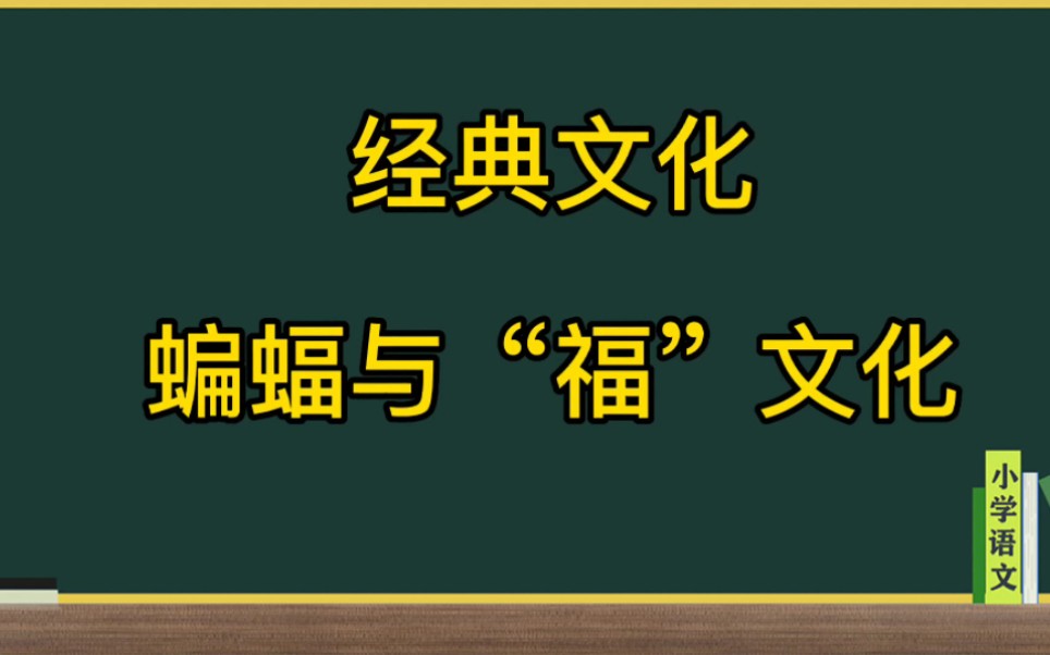 蝙蝠与中国的福文化哔哩哔哩bilibili