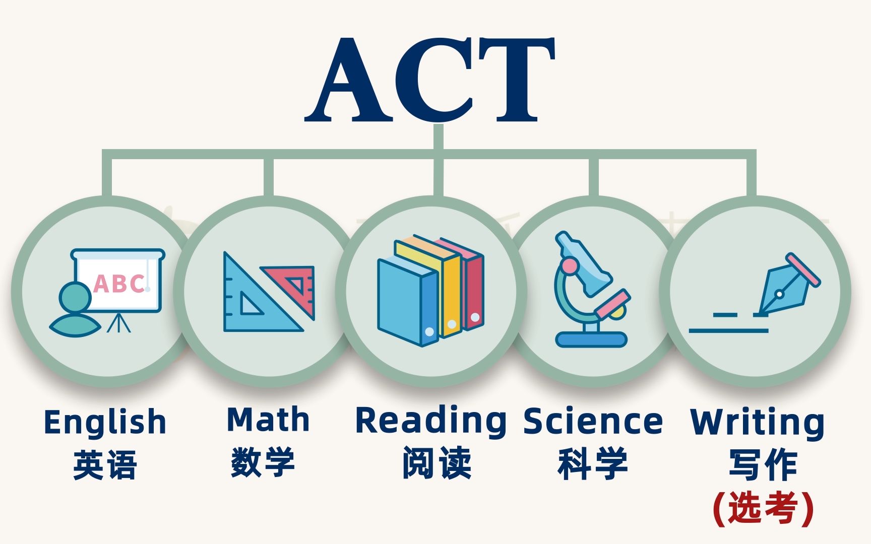 5分钟带你走进ACT阅读哔哩哔哩bilibili