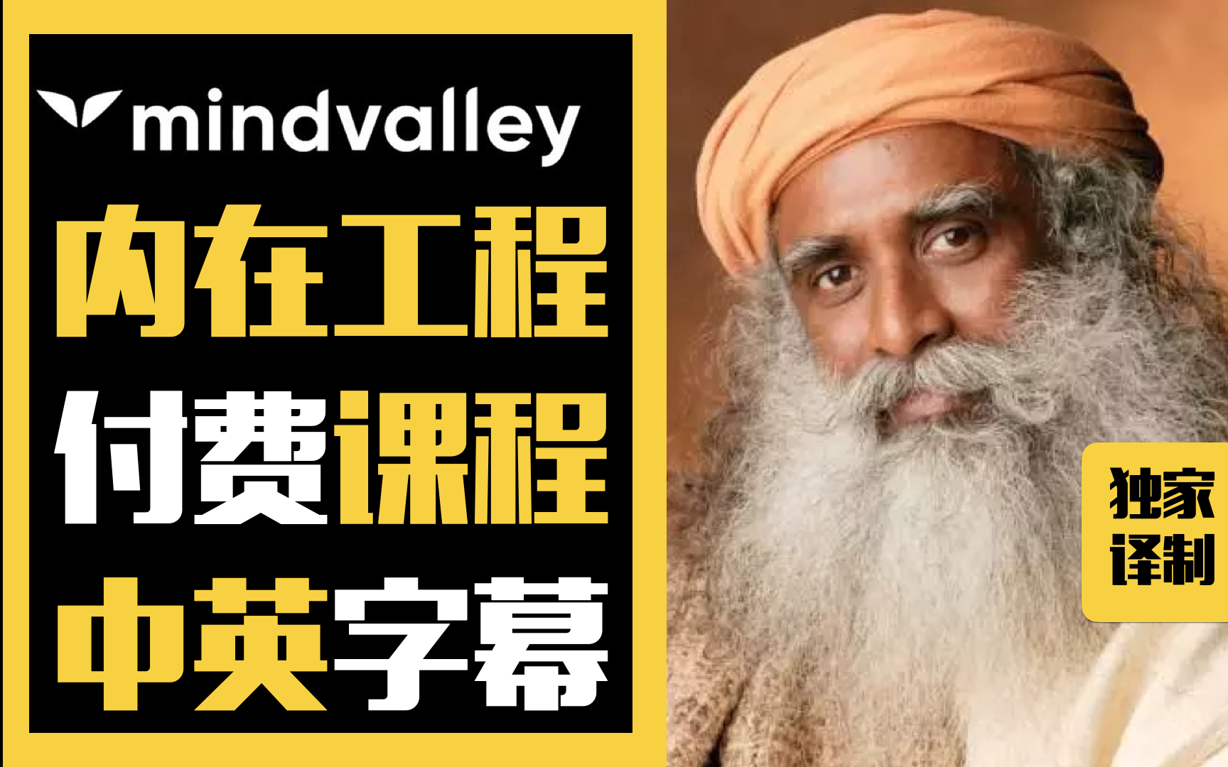 [图]【中英双字幕】《一个瑜伽士的内在喜悦工程》- 萨古鲁 | 心谷大学 Mindvalley