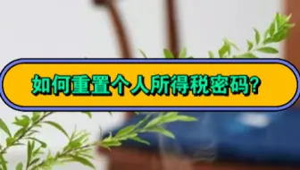 如何重置个人所得税密码？