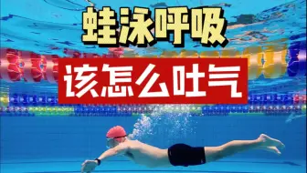 正确的蛙泳呼吸该怎么吐气、什么时候吐气才能使换气轻松