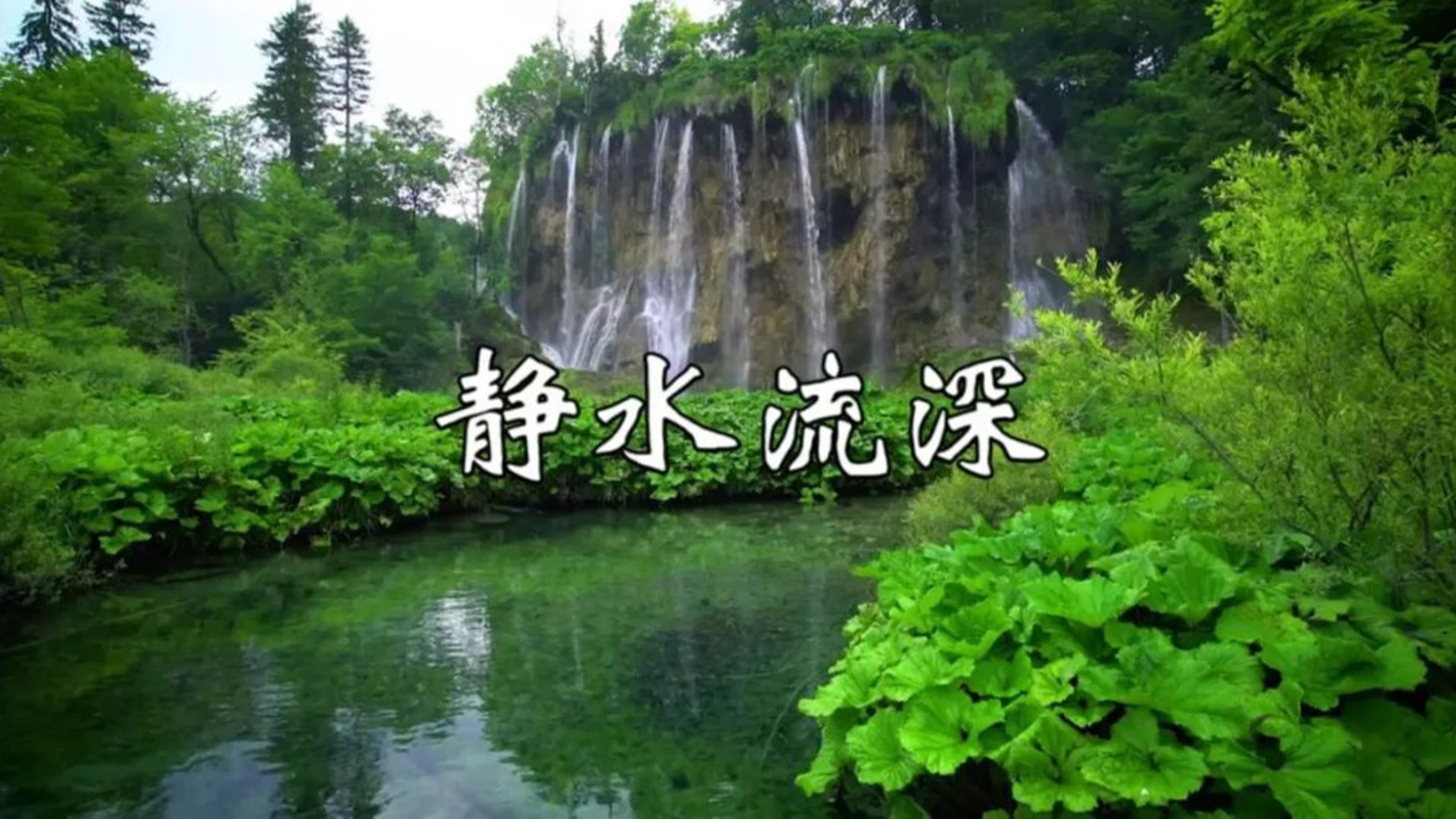 古琴箫曲《静水流深》,清幽禅音,缓解焦虑