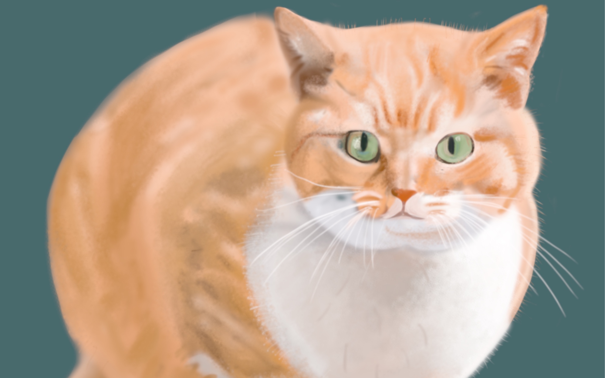 hm学习插画个人纪录—厚涂橘猫_哔哩哔哩 (゜-゜)つロ 干杯~-bilibili