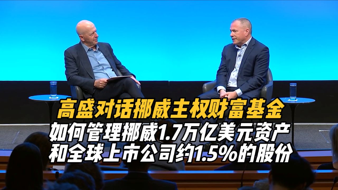 高盛对话挪威主权财富基金:如何管理挪威1.7万亿美元资产和全球上市公司1.5%的股份哔哩哔哩bilibili