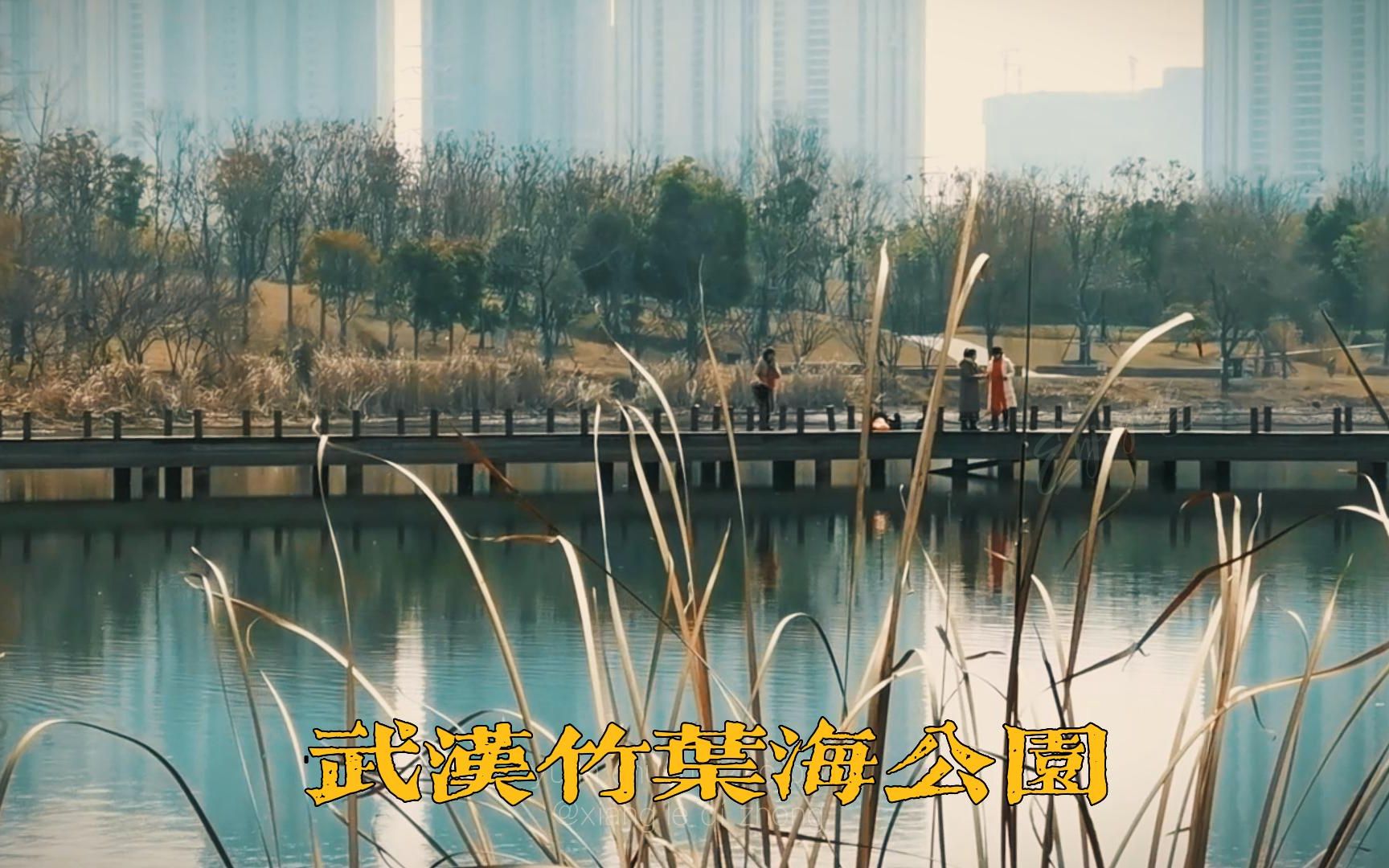 风景独特武汉竹叶海,将建武汉最大湿地,未来世界主题公园