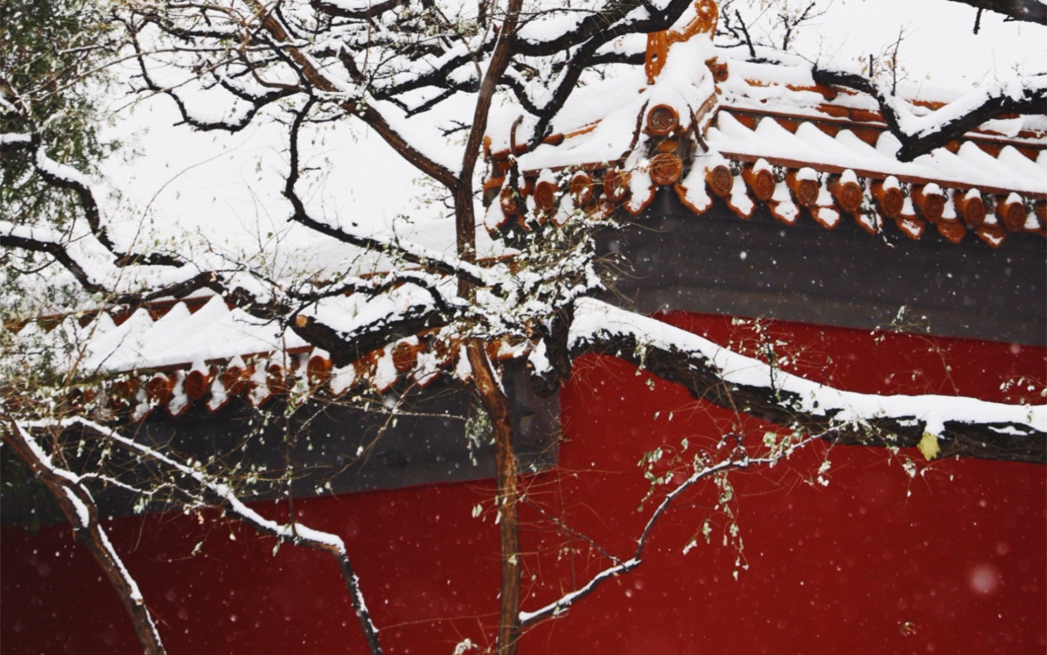 景山公园看故宫雪景图片