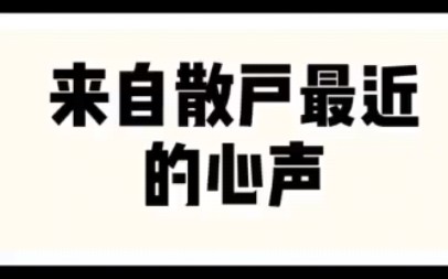 股市,来自散户最近的心声!哔哩哔哩bilibili