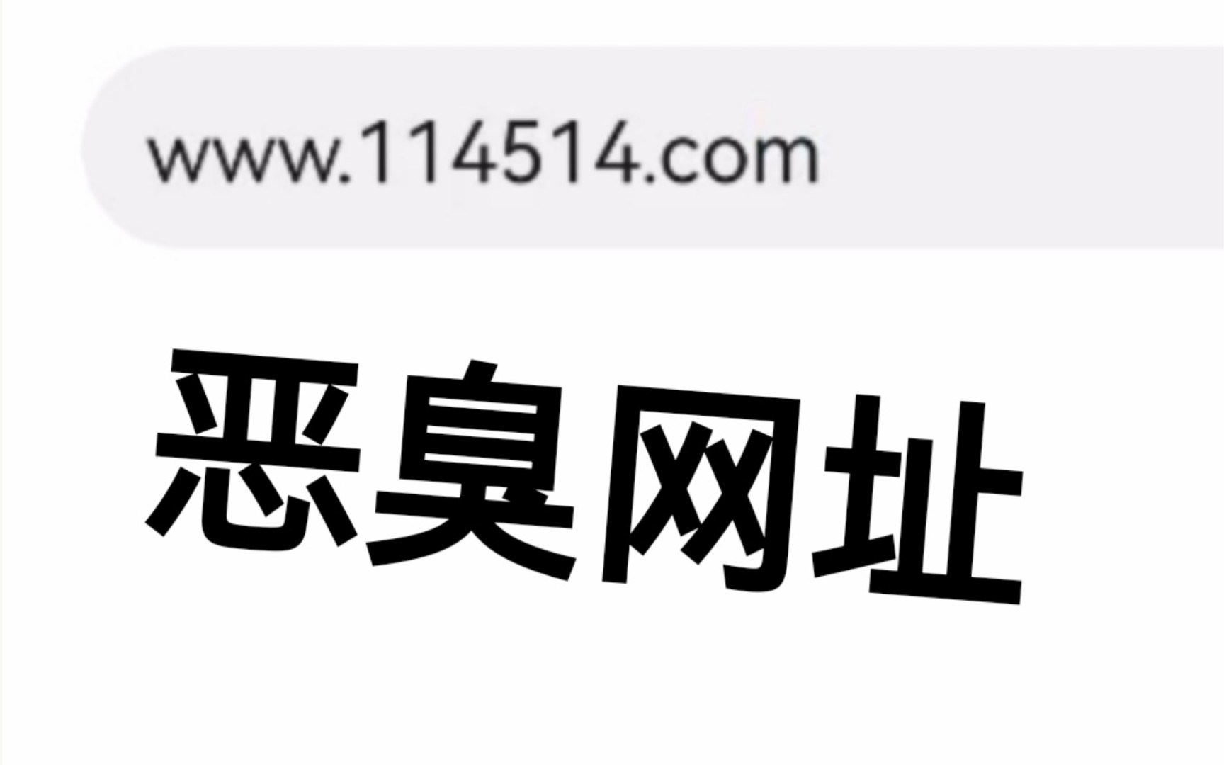 当你在浏览器里输入恶臭网址会发生什么哔哩哔哩bilibili