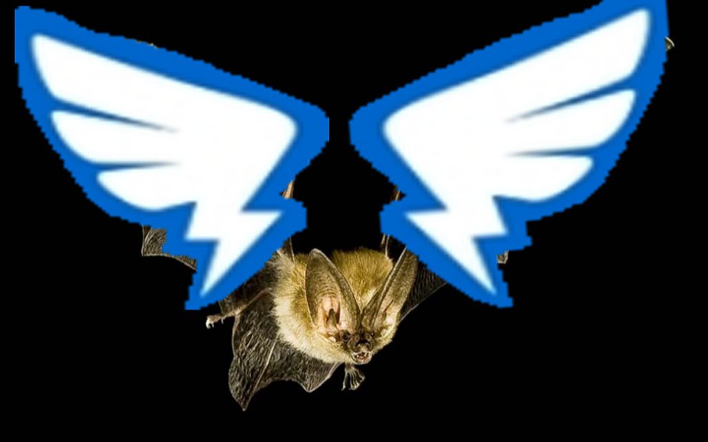 建议改为:钉钉蝙蝠_哔哩哔哩 (゜-゜)つロ 干杯~-bilibili