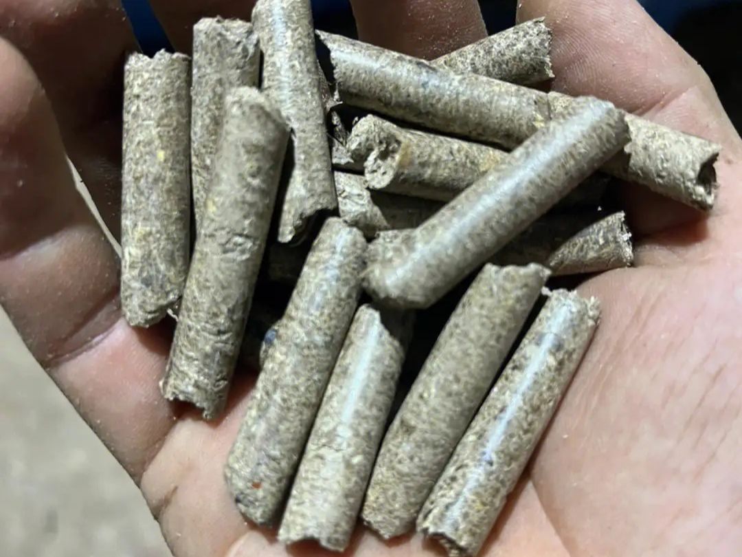 废木头压缩造粒成燃料颗粒,中间就差一台木材料加工颗粒机器设备