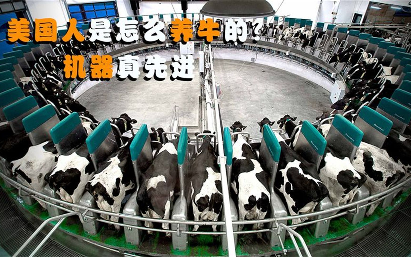 美国人是怎么养牛的?全自动机械化,我们什么时候引进
