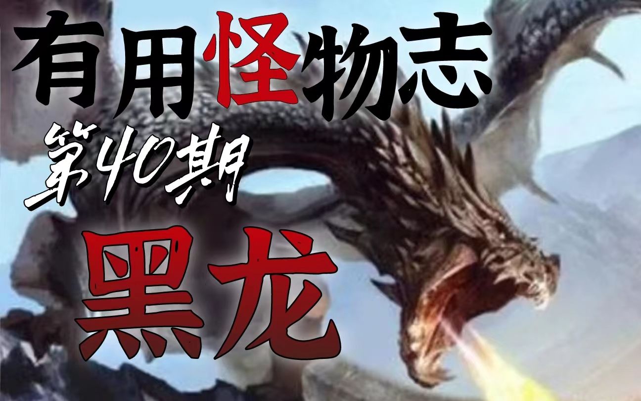 【有用怪物志】彩色龙中的腐败沼泽之王黑龙 dnd龙类种族以及龙血亚种