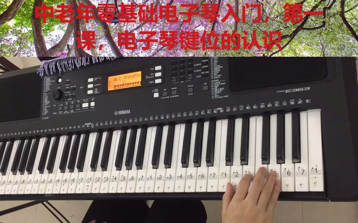 新手初学电子琴入门自学教程左手配合着练习技巧赶紧看过来