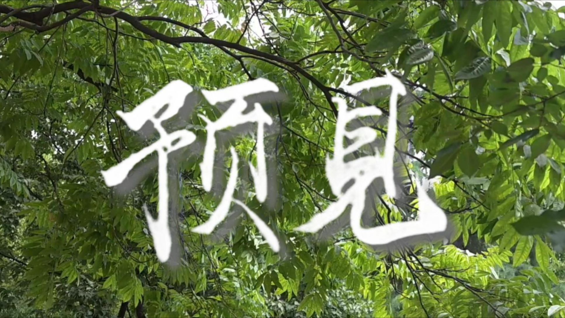 【4K】我们学校的电话亭竟然...?（2024级成人礼暖场视频《预见》）