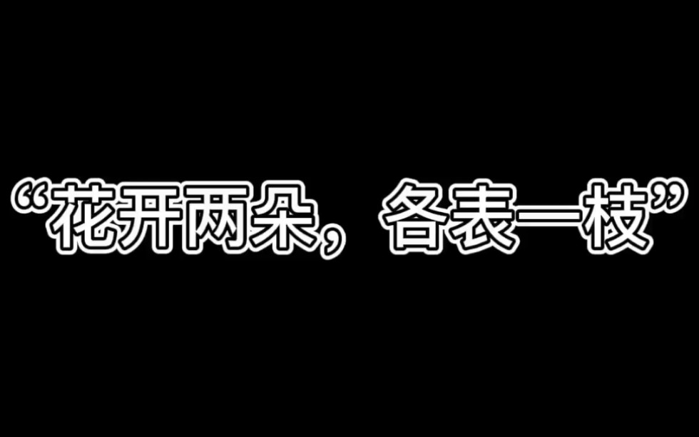 [图]“花开两朵，各表一枝”