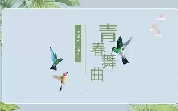 青春舞曲音乐课件哔哩哔哩bilibili