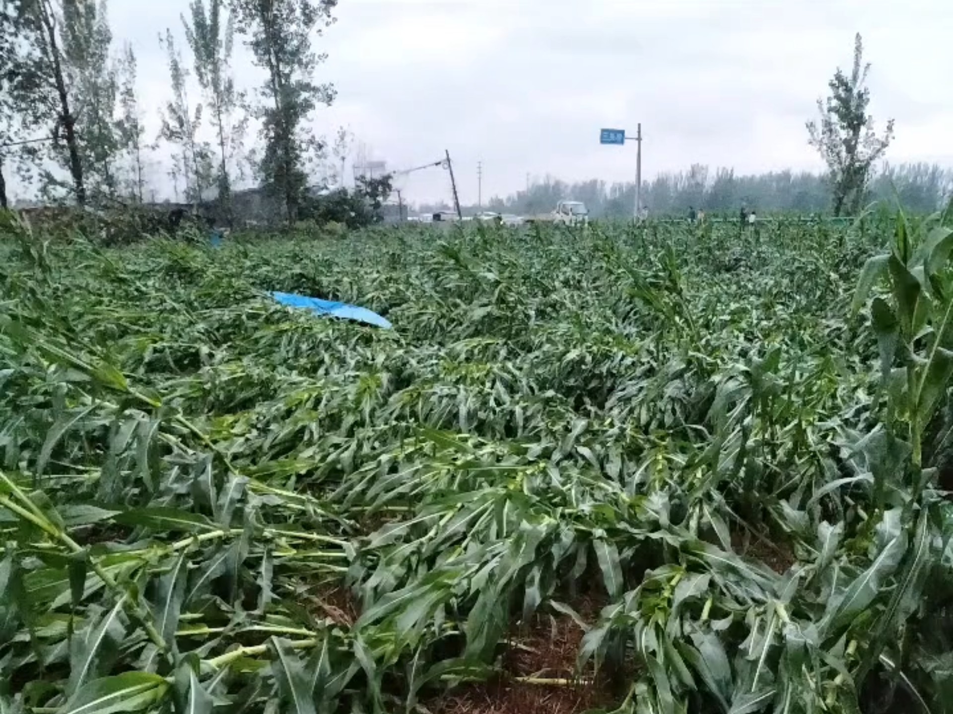 2022年7月22日河南商丘睢阳闫集三关村龙卷风,几段拍摄和拼接的