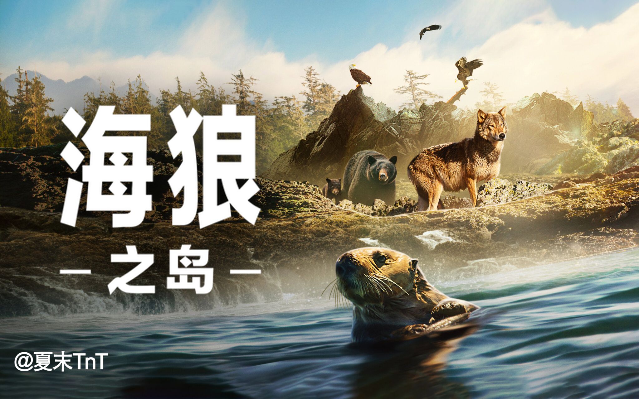 海狼之岛 中英双语字幕 全3集 Island of the Sea Wolves哔哩哔哩bilibili