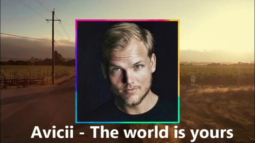 [图]Avicii - The world is yours