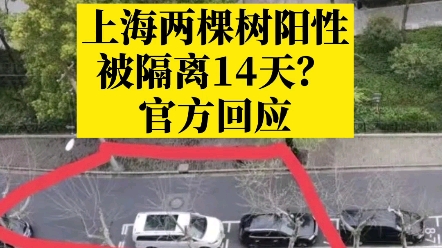 [图]上海两棵树阳性被隔离要“大白”驻守？真相来了