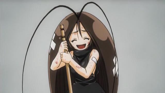 小强的旅途--听小强同志说小强的故事