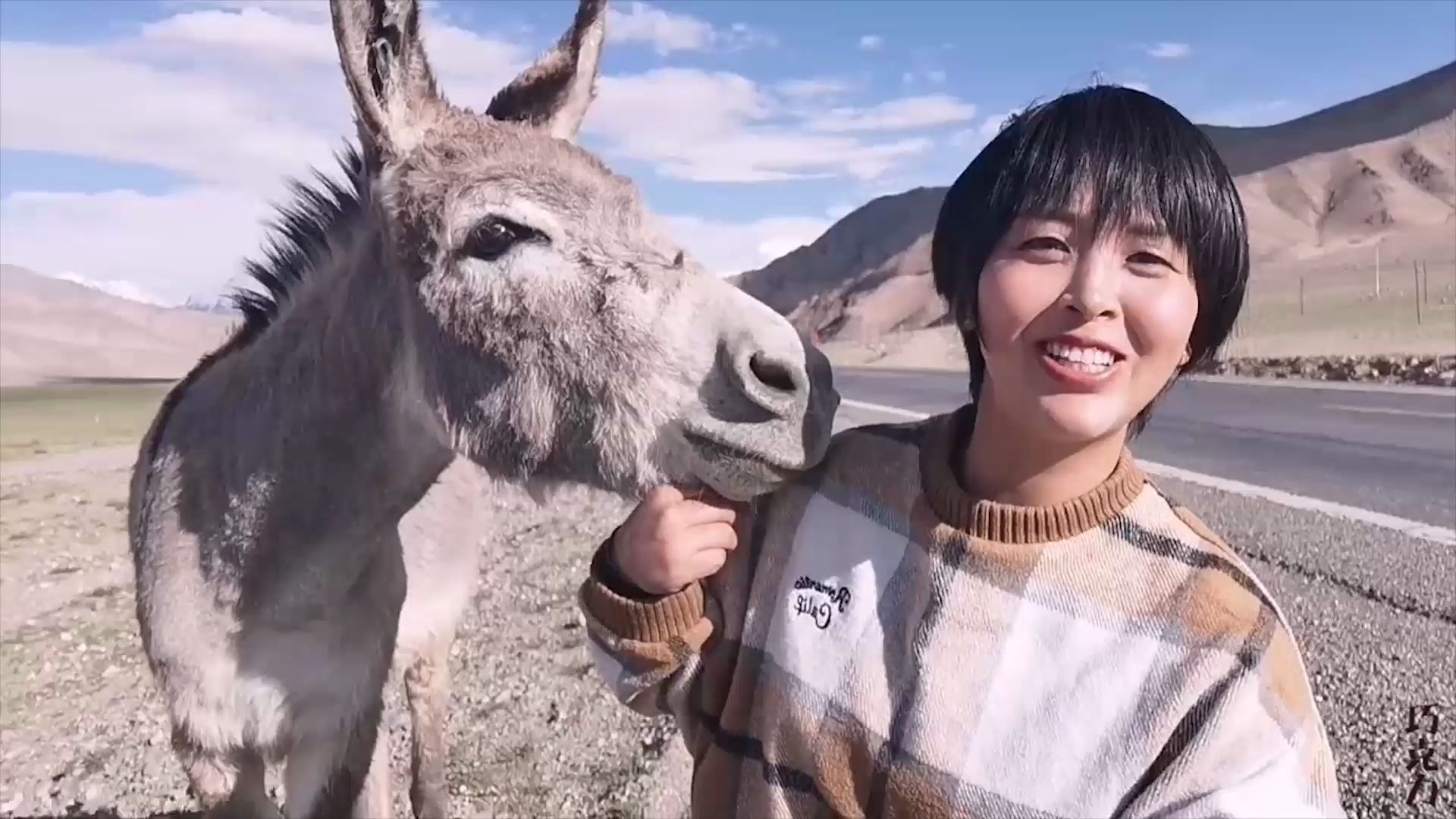 房车旅游新疆站,遇到草原上的小毛驴,驴嘴是真的好臭!