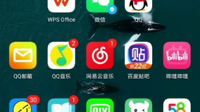 WIFI万能钥匙会员骗钱,开了和没开没有任何区别还没会员选项,不是骗钱是什么?哔哩哔哩bilibili