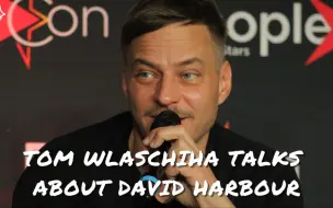 Video herunterladen: 【Tom Wlaschiha】漫展访谈 希望Dimitri(Enzo)回归怪奇物语最终季