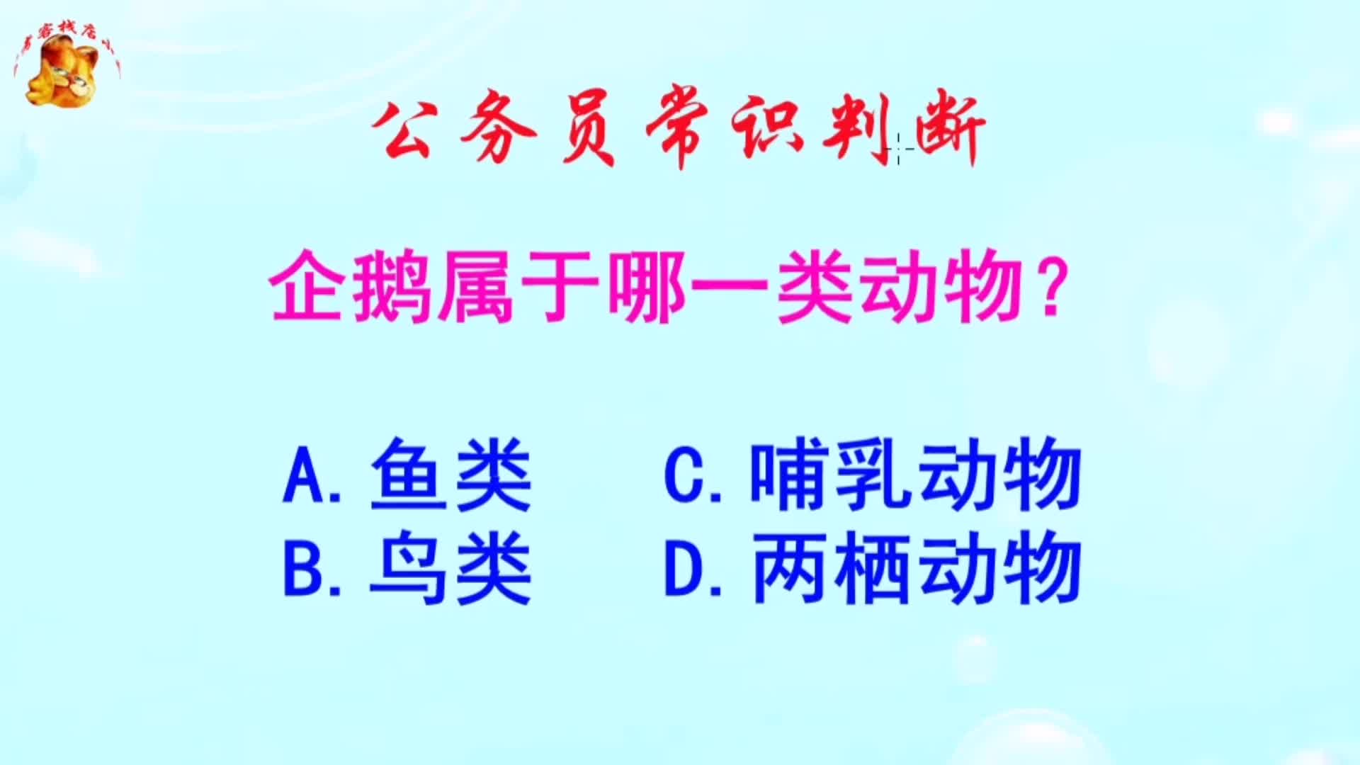 公务员常识判断,企鹅属于哪一类动物?长见识啦哔哩哔哩bilibili