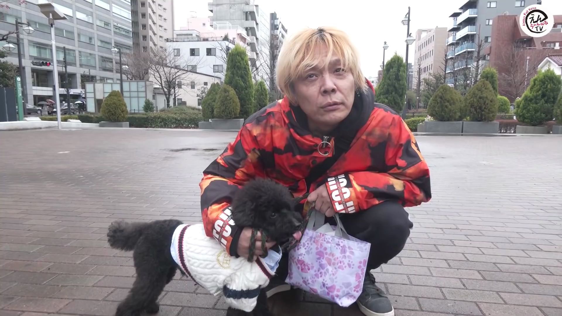 远藤正明带着狗狗去散步篇远藤tvvol24