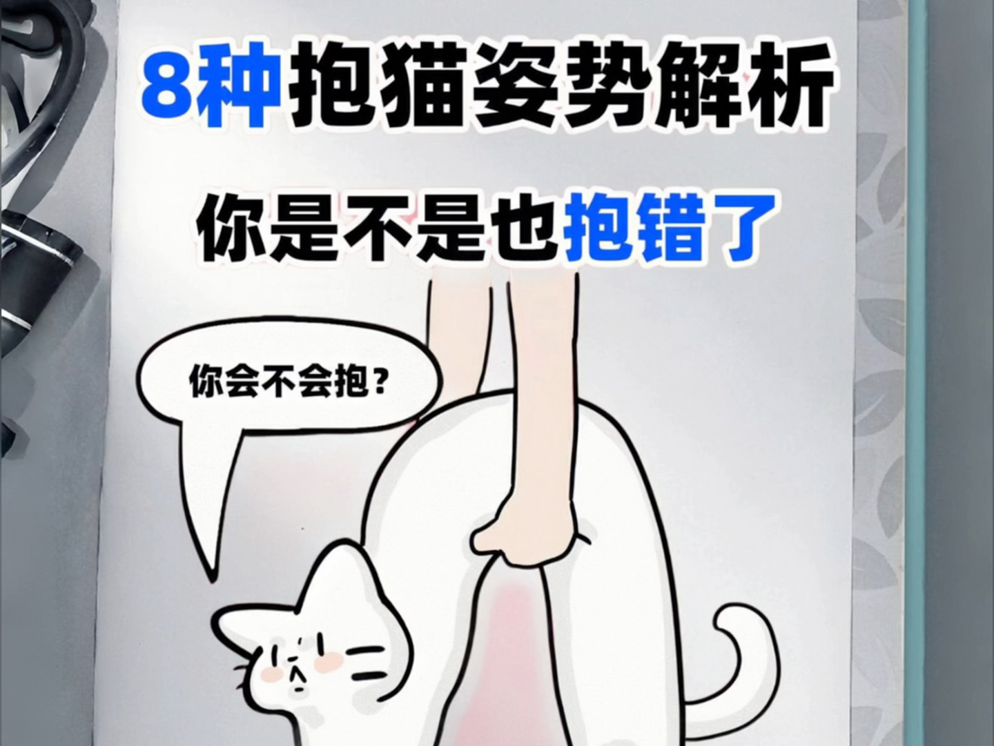 猫奴必看!八种抱猫姿势解析!哔哩哔哩bilibili