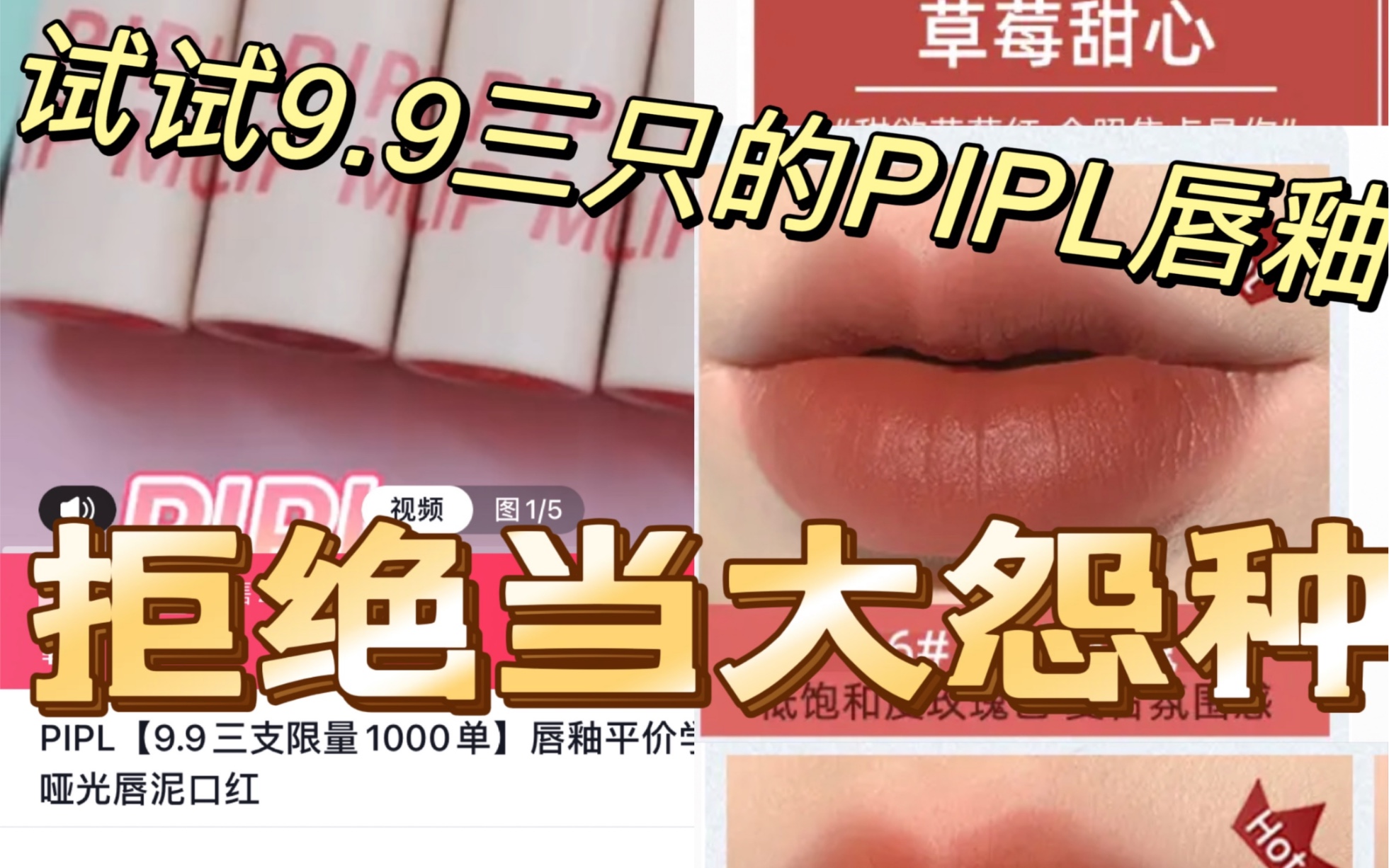 拒绝当大怨种 9.9三只的PIPL测评哔哩哔哩bilibili